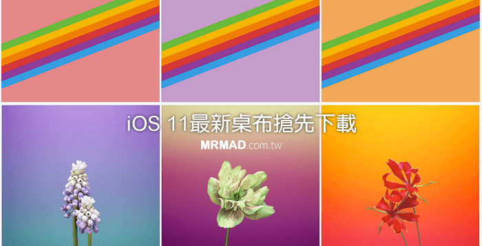iOS11 wallpaper download