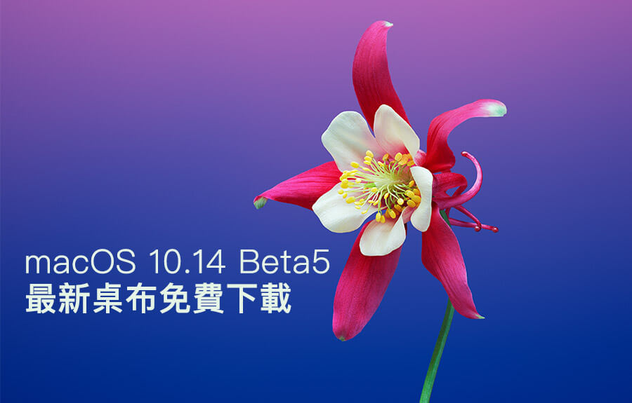 macOS 1014 beta5