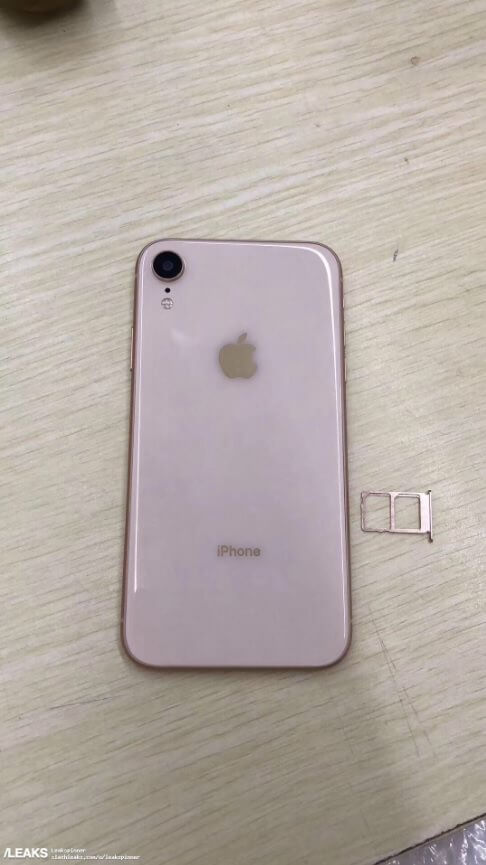 iPhone XC 實體原型機流出支援雙SIM卡4
