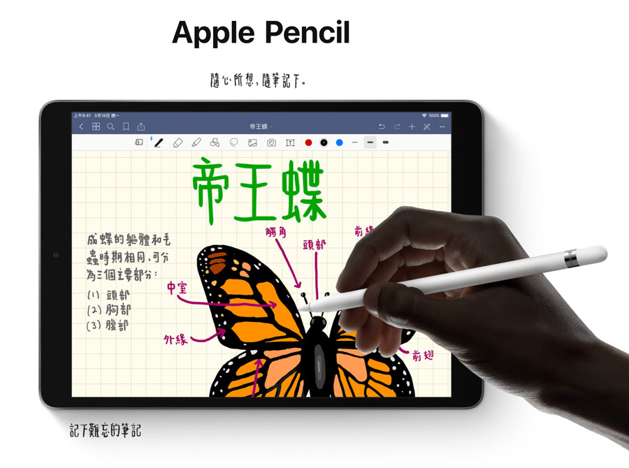 105 ipad air apple pencil