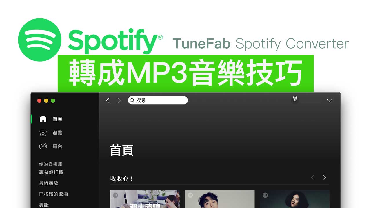 tunefab spotify music converter