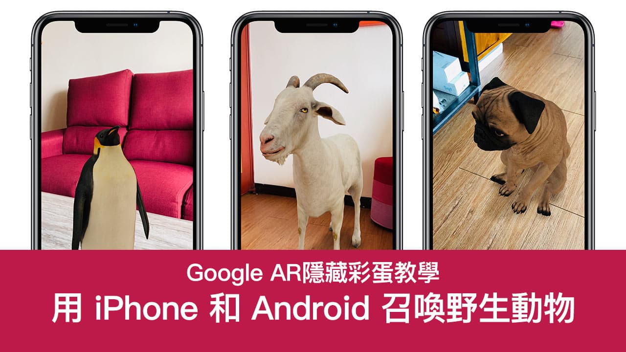 Google AR教學｜利用iPhone/Android手機也能召喚AR動物
