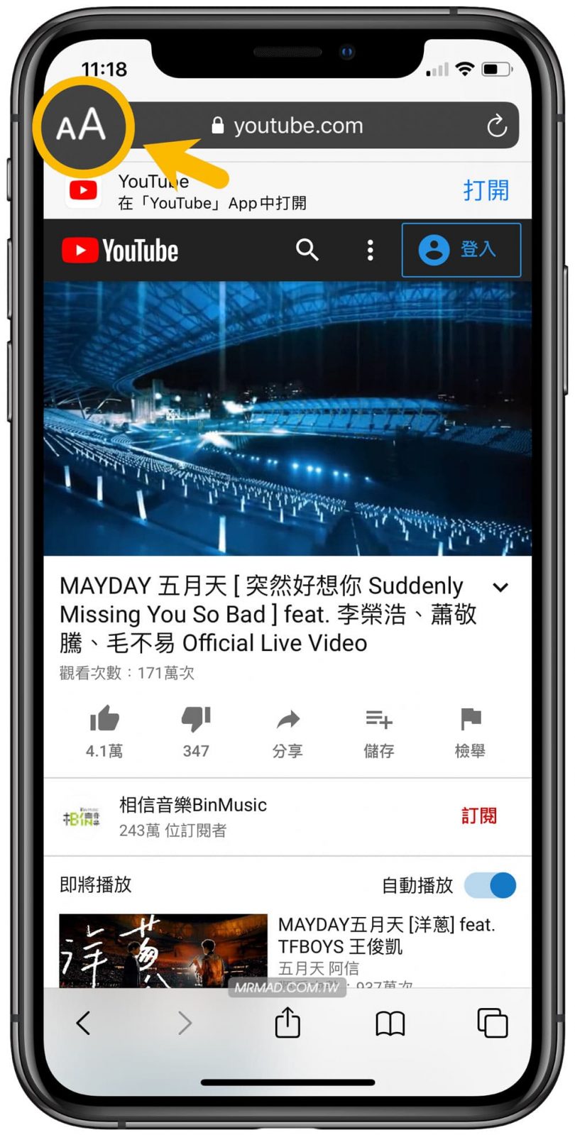 ios safari youtube background