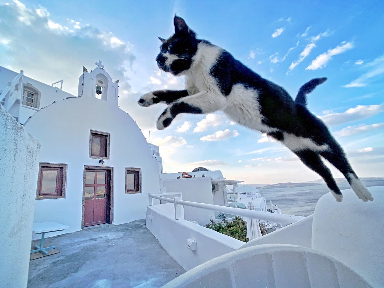 台灣獲獎者吳佳芳（Erica Wu）在一大早的希臘聖托里尼，利用 iPhone X 捕捉貓咪悠閒的飛躍