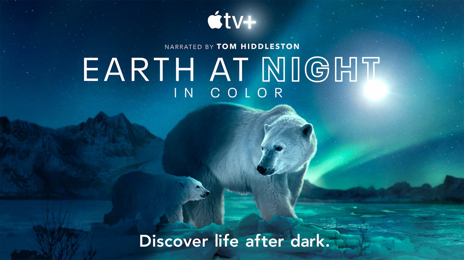 Apple TV+替世界地球日推出《這一年地球變得不一樣》 紀錄片