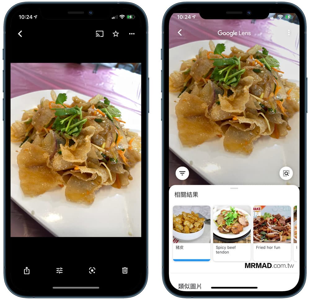 食物、建築、風景也能夠利用Google相簿辨識