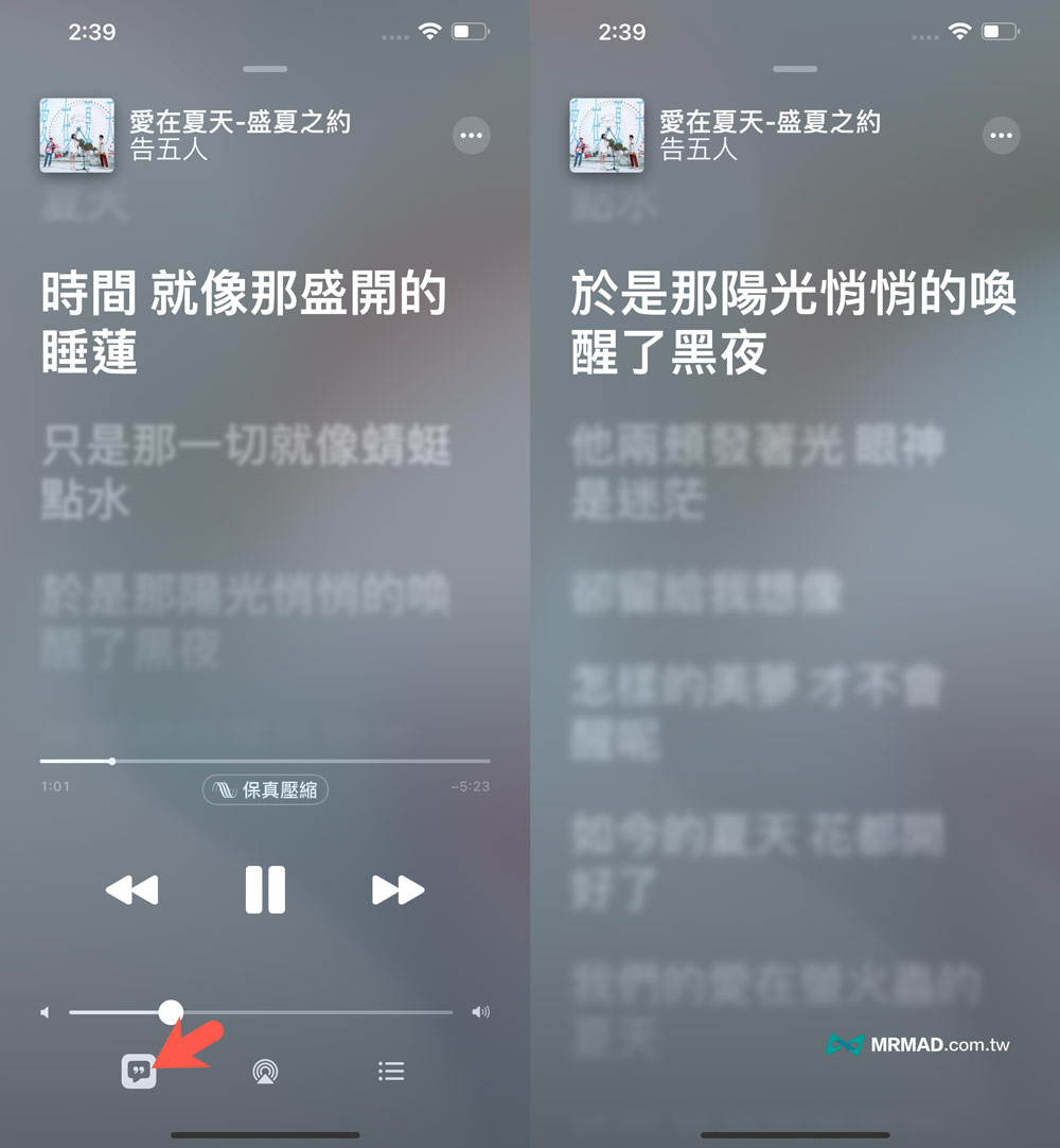 顯示動態Apple Music歌詞