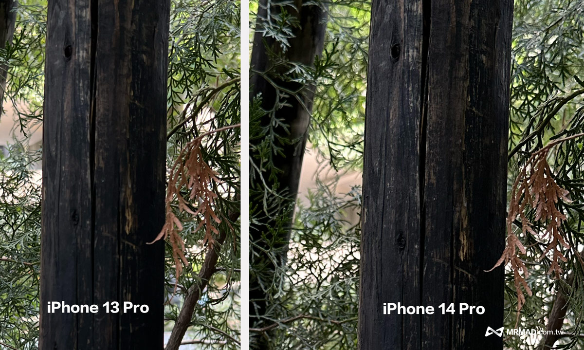 iPhone 14 Pro 全新4800萬像素主鏡頭5