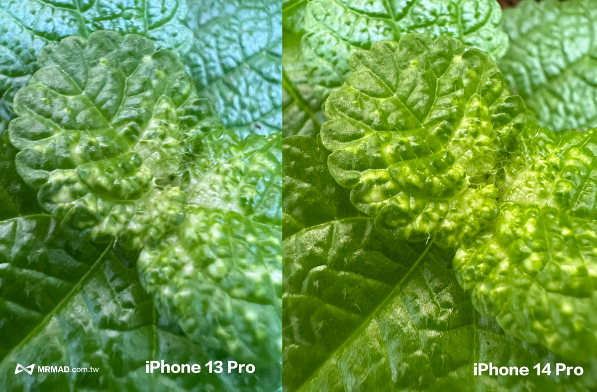 iPhone 14 Pro 全新4800萬像素主鏡頭9