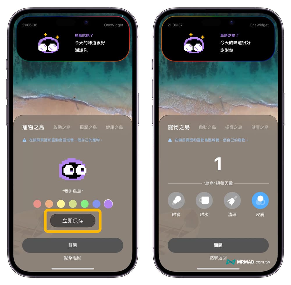 OneWidget dynamic island to get pets to feed tips 1