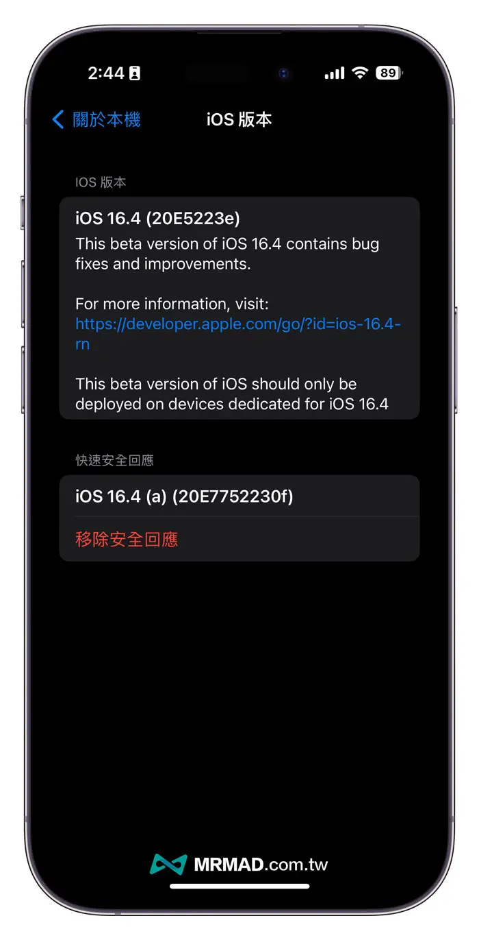 如何刪除 iOS 16.5.1 (a) 更新