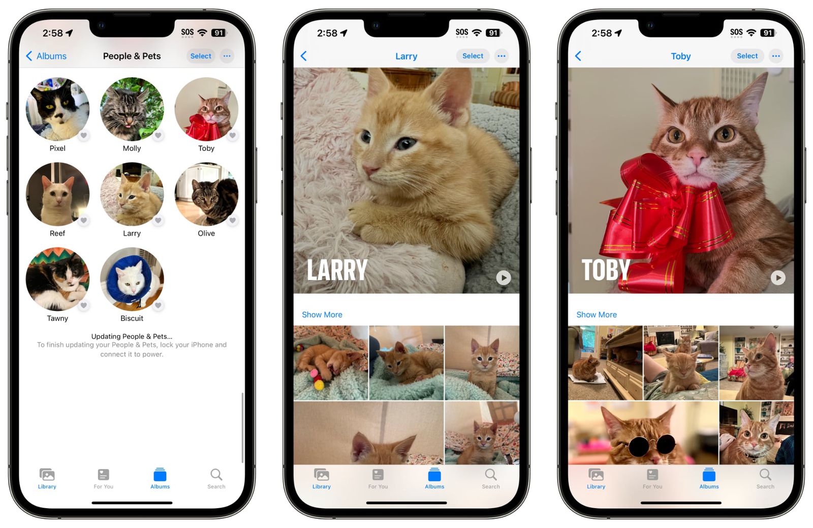 iOS17照片新功能：照片能自動識別寵物