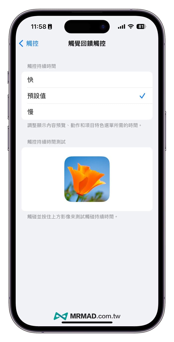 如何調整 iPhone 觸覺回饋觸控速度1