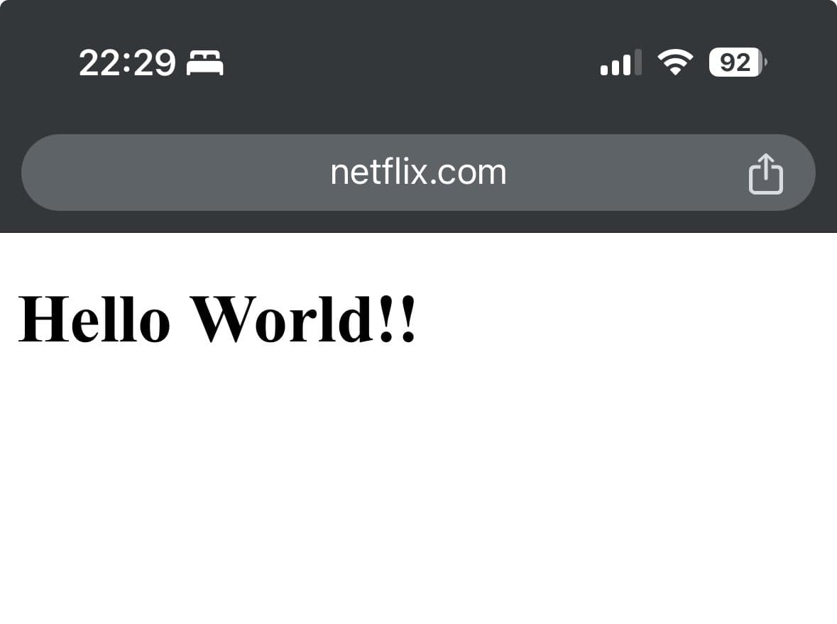 Netflix 網頁彩蛋1：Netflix Hello World