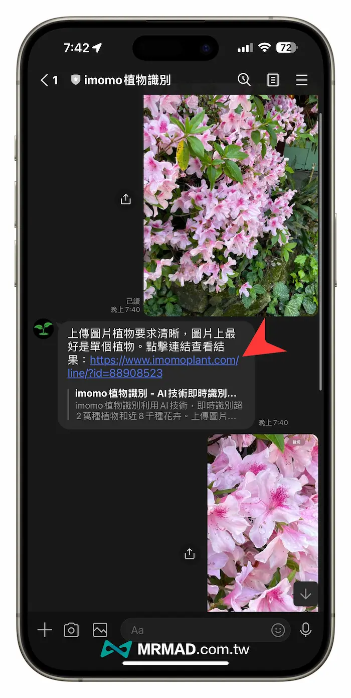 LINE辨識花草植物技巧，拍照上傳照片輕鬆查詢花草名稱 1