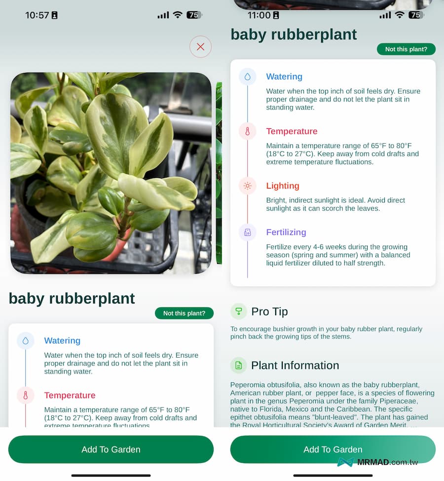 照顧植物APP《Plant Finder Identifier & Care》使用技巧 1