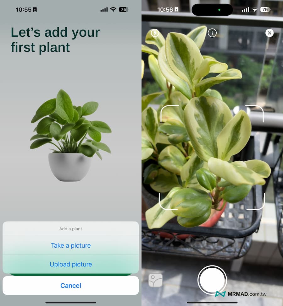 照顧植物APP《Plant Finder Identifier & Care》使用技巧