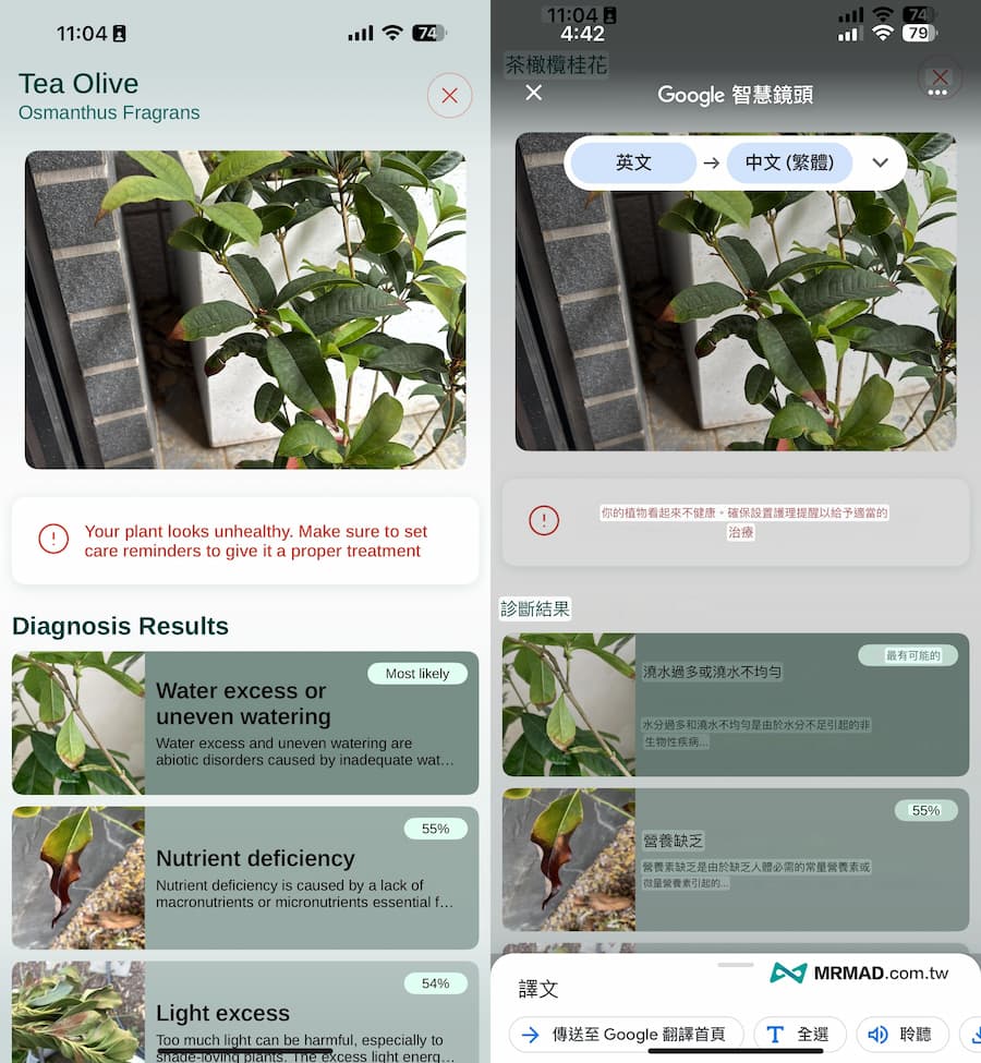 照顧植物APP《Plant Finder Identifier & Care》使用技巧 3