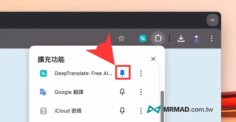 Chrome AI 翻譯擴充功能 DeepTranslate 安裝與設定 3