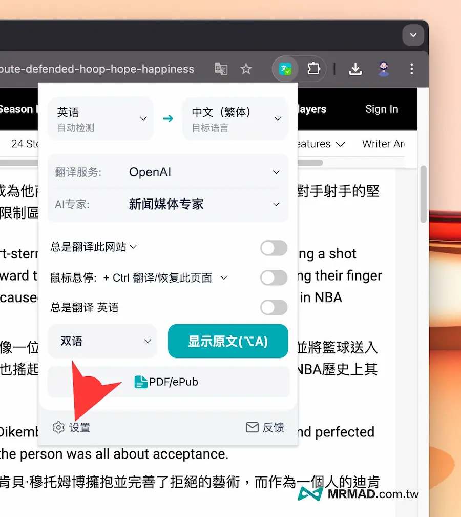 DeepTranslate 翻譯網頁操作與設定技巧 4