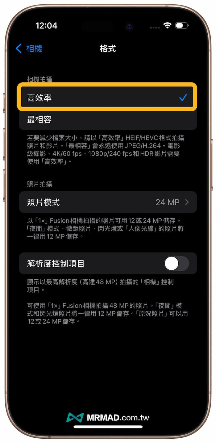 看不見iPhone 16攝影風格功能選項