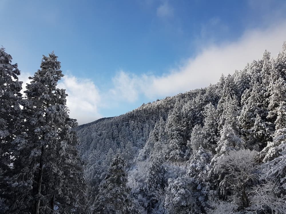 2025全台灣最佳賞雪景點推薦 11