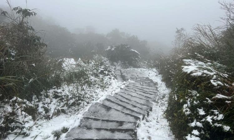 2025全台灣最佳賞雪景點推薦 6