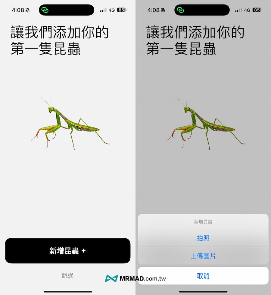 手機昆蟲識別APP 1