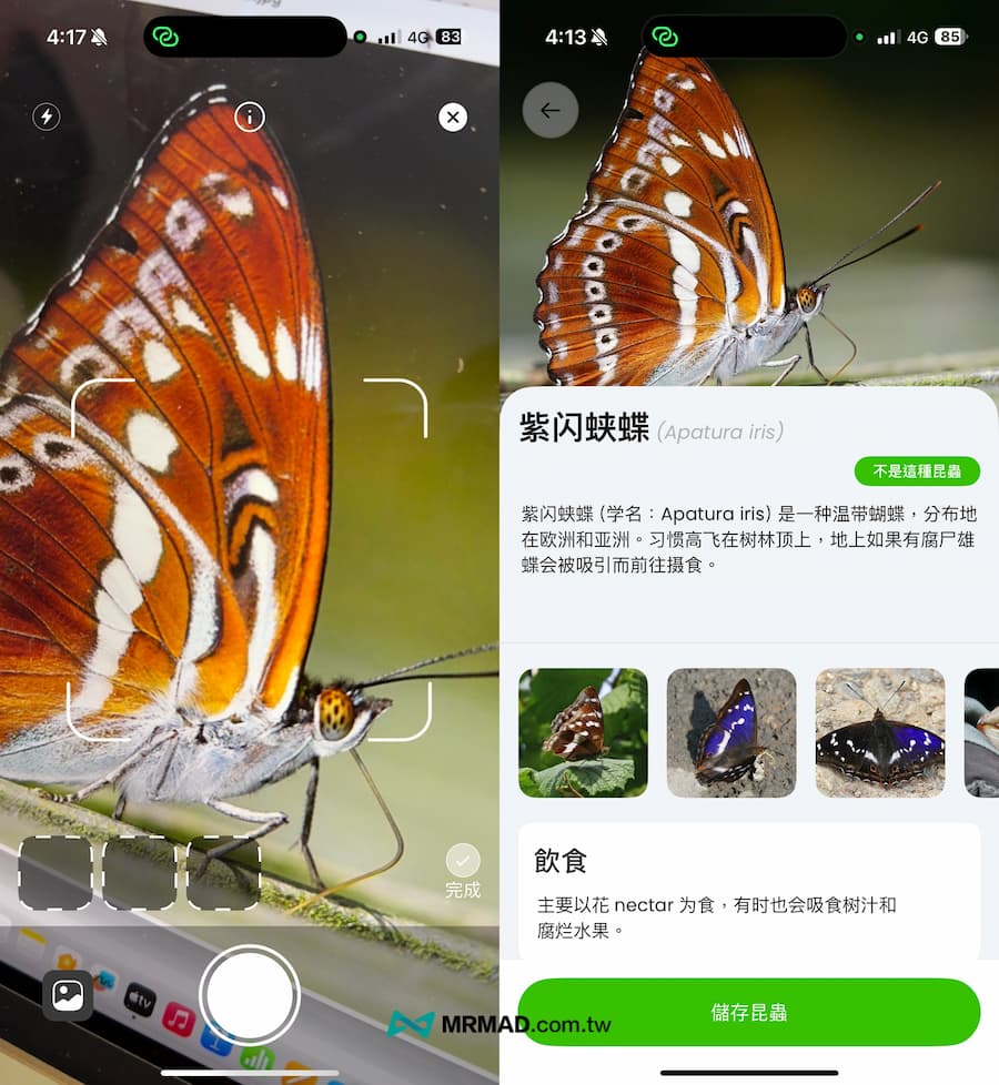 手機昆蟲識別APP 2