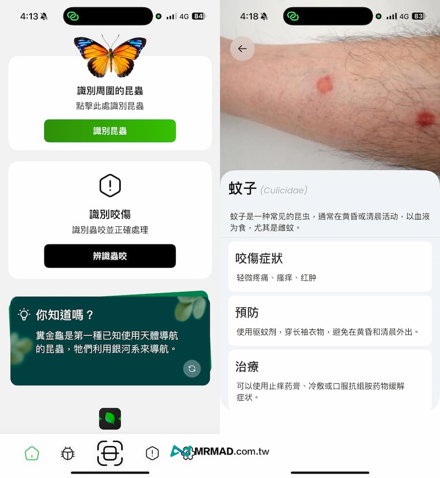 手機昆蟲識別APP 3