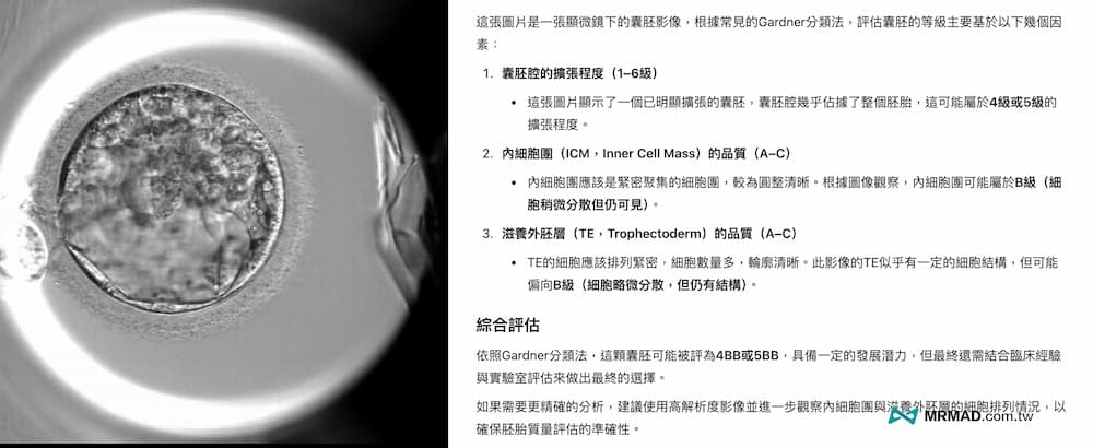 備孕從失望到等待與希望出現 1