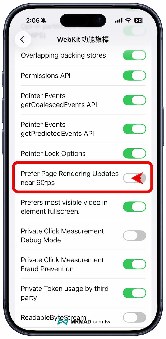 iPhone Safari 強制解鎖 120Hz 設定教學 3