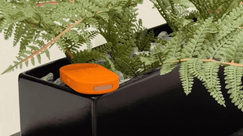 pinbuzz review unboxing anti theft alarm tracker a25