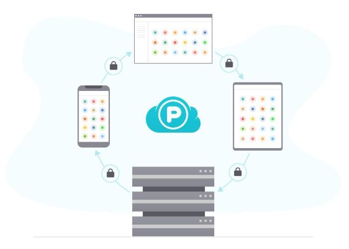 2026 lunar new year pcloud discount 4