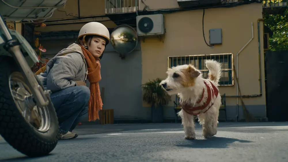 回家的當代意義：從傳統符號到情感居所的再定義