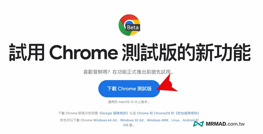 如何開啟Chrome垂直分頁功能（免外掛） 1