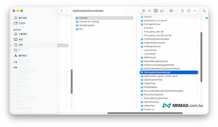 Mac如何刪除Chrome離線AI模型 2
