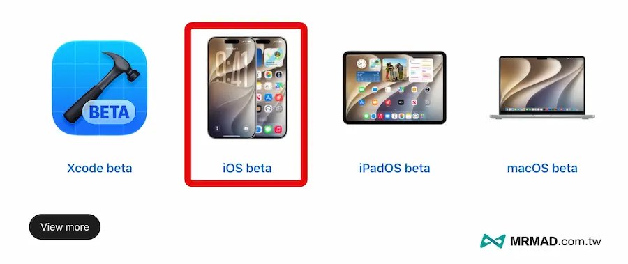 how to upgrade ios 27 beta developer a5
