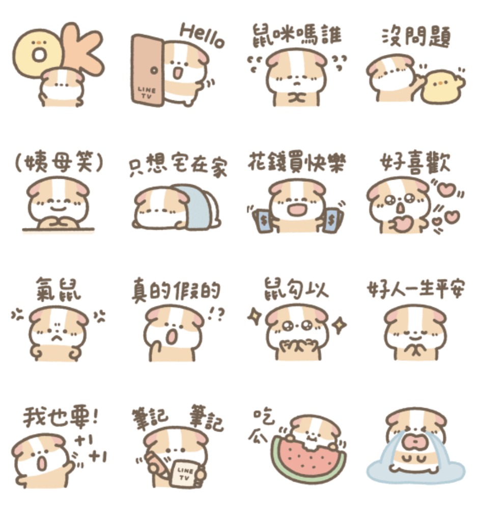 LINE TV|天竺鼠布丁