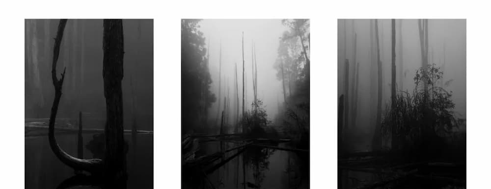 第一名:Lasda Takbanuaz,台灣,iPhone 17 Pro